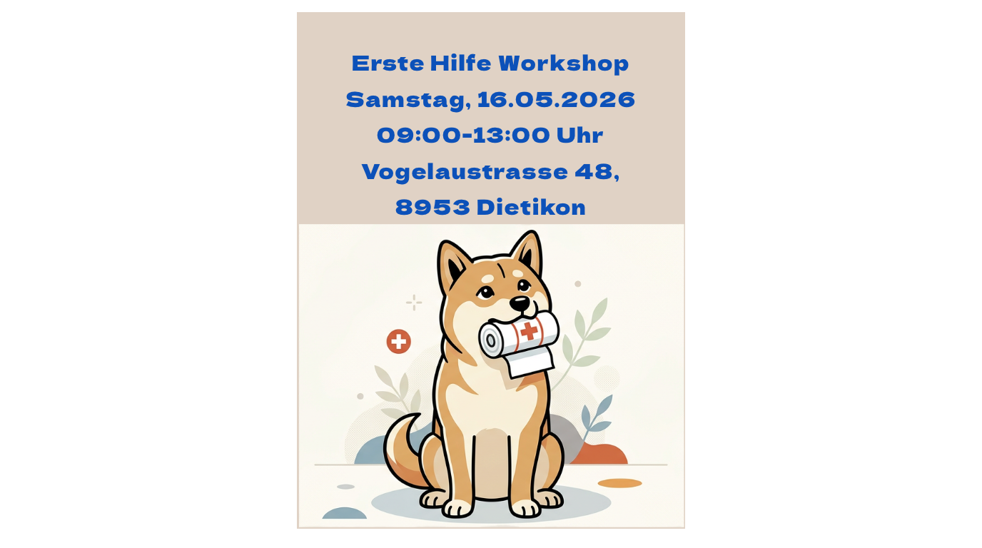 Erste Hilfe am Hund 16.05.26 / Aktive Teilnahme