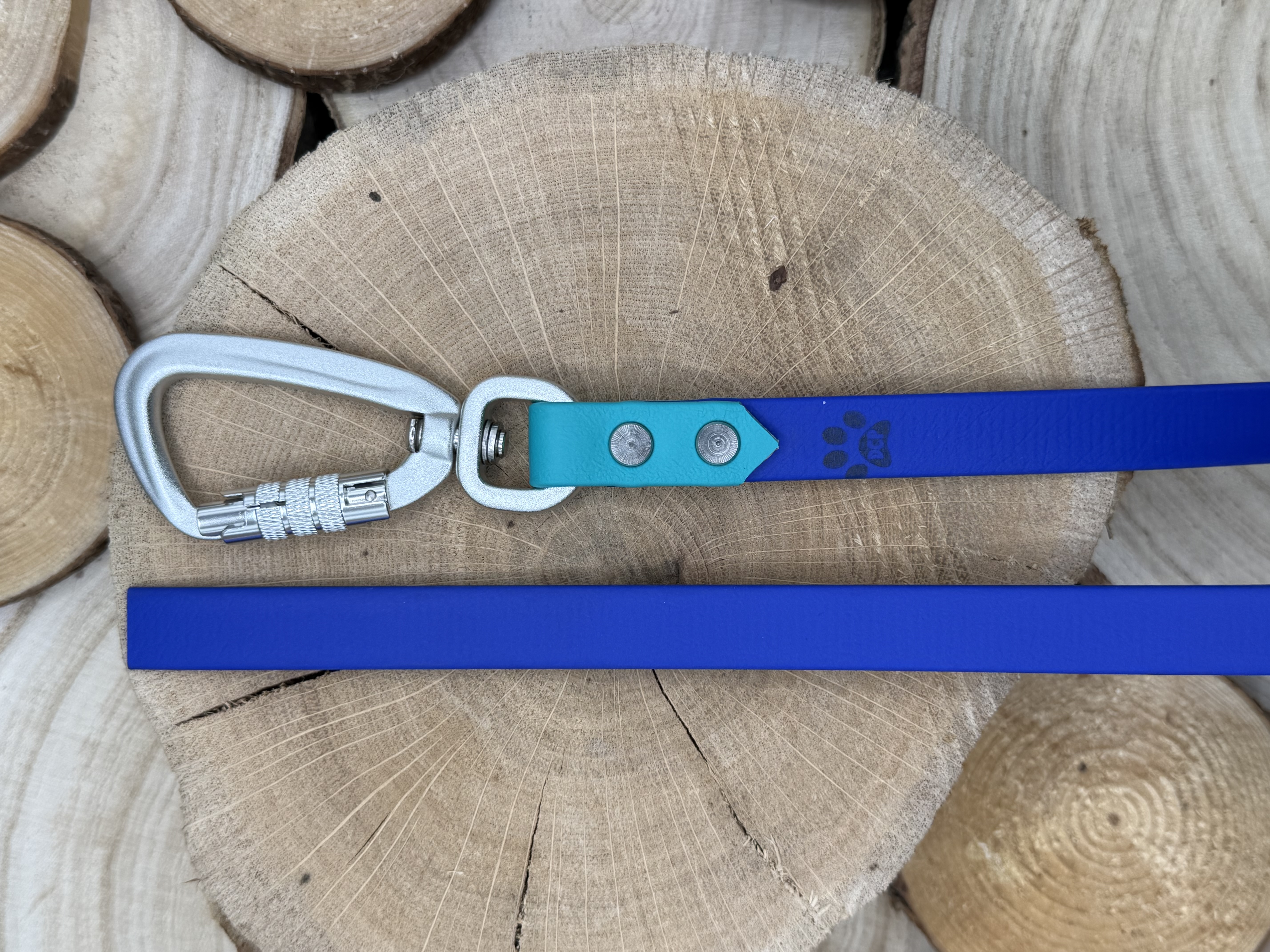 Biothane Schleppleine, eletric blue & light green (2.008)